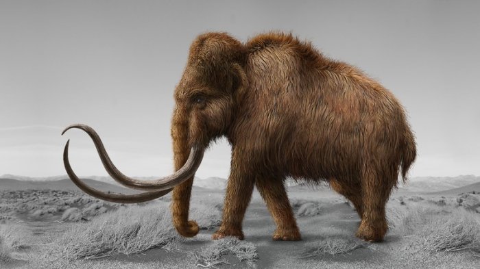 آموزش Digital Tutors - Resurrecting Extinct Creatures in Photoshop