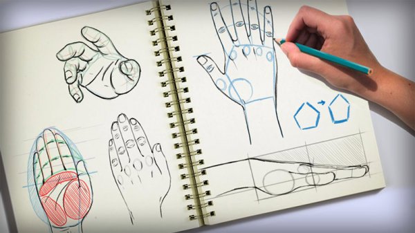 آموزش Digital Tutors - Methods for Drawing the Human Hand With Kurt Jones