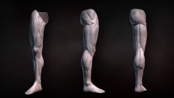 آموزش Digital Tutors - Sculpting Human Legs in ZBrush