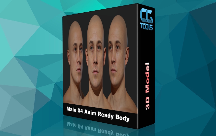 مدل های بدن سه بعدی مردانه آماده پویانمایی بازسازی‌شده