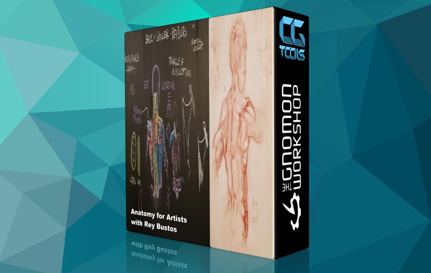 آموزش آناتومی برای هنرمندان جلد 1 - درک عضلات پشت و شانه