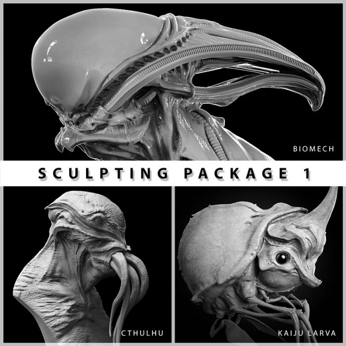 آموزش Gumroad - Sculpting Package 1 by Dominic Qwek