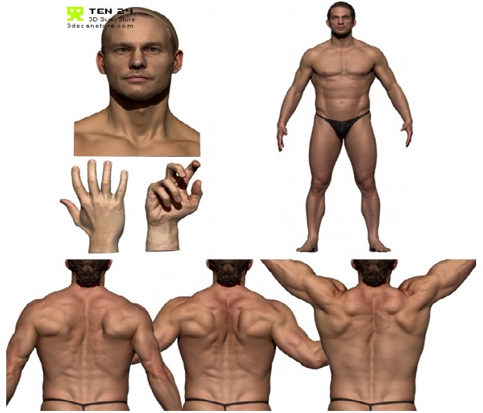 مدل سه بعدی 3D Scan Store - Colour Male Anatomy Bundle 01