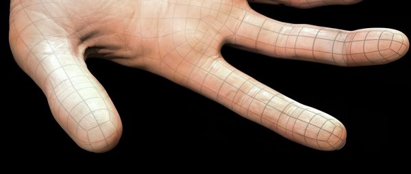 آموزش مدل سازی دست های واقعی در مایا و مادباکس | Digital Tutors - Modeling Realistic Hands in Maya and Mudbox