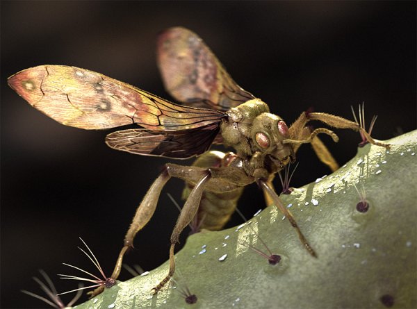 آموزش مدلسازی واقعی حشرات | The Gnomon Workshop - Hyper-real Insect Design