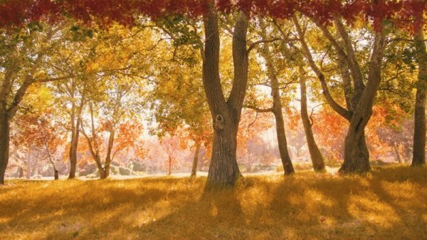 آموزش Digital Tutors - Changing Seasons in After Effects and Photoshop