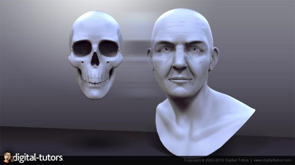 درک آناتومی صورت در زیبراش | Digital Tutors - Understanding Facial Anatomy in ZBrush