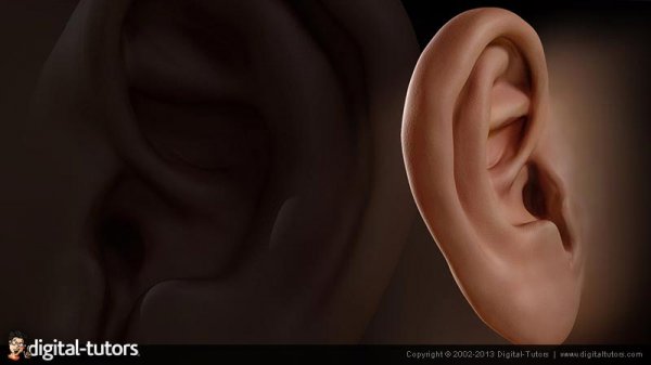 آموزش ساخت گوش برای کاراکتر در زیبراش | Digital Tutors – Sculpting Human Ears in ZBrush