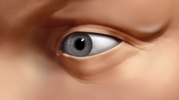 آموزش Digital Tutors  - Sculpting Human Eyes in ZBrush