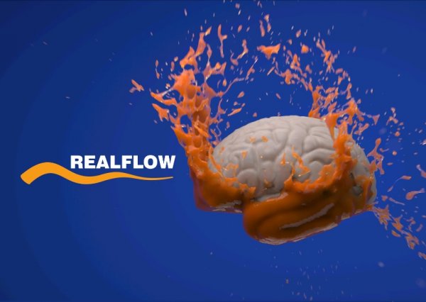 آموزش CGWorkshops - Mastering Realflow 2012 for Production