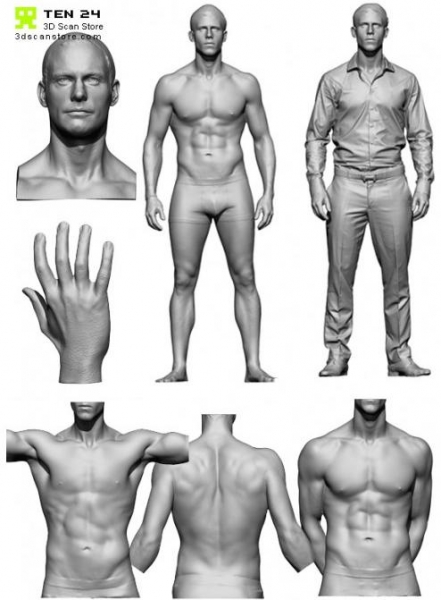 مدل های آناتومی مرد 3D Scan Store - Male Anatomy Bundle