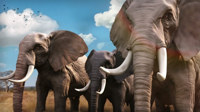 آموزش Digital Tutors - Sculpting a Realistic Elephant in ZBrush