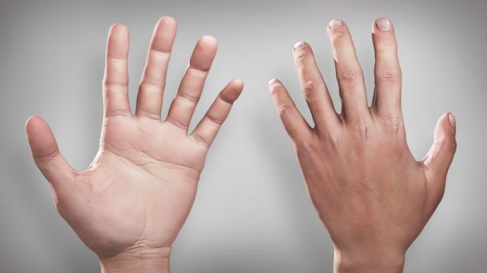 آموزش Digital Tutors - Painting Realistic Skin in MARI - Hands