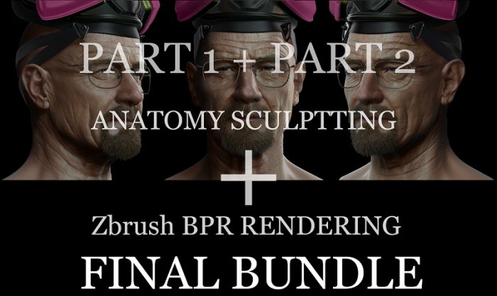 آموزش Gumroad - Anatomy Sculpting and ZBrush BPR Package by Frank Tzeng